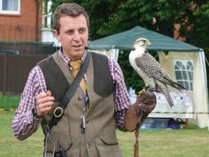 Hawkeye Falconry