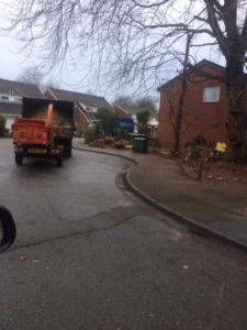 Leylandii Mayberry Grove